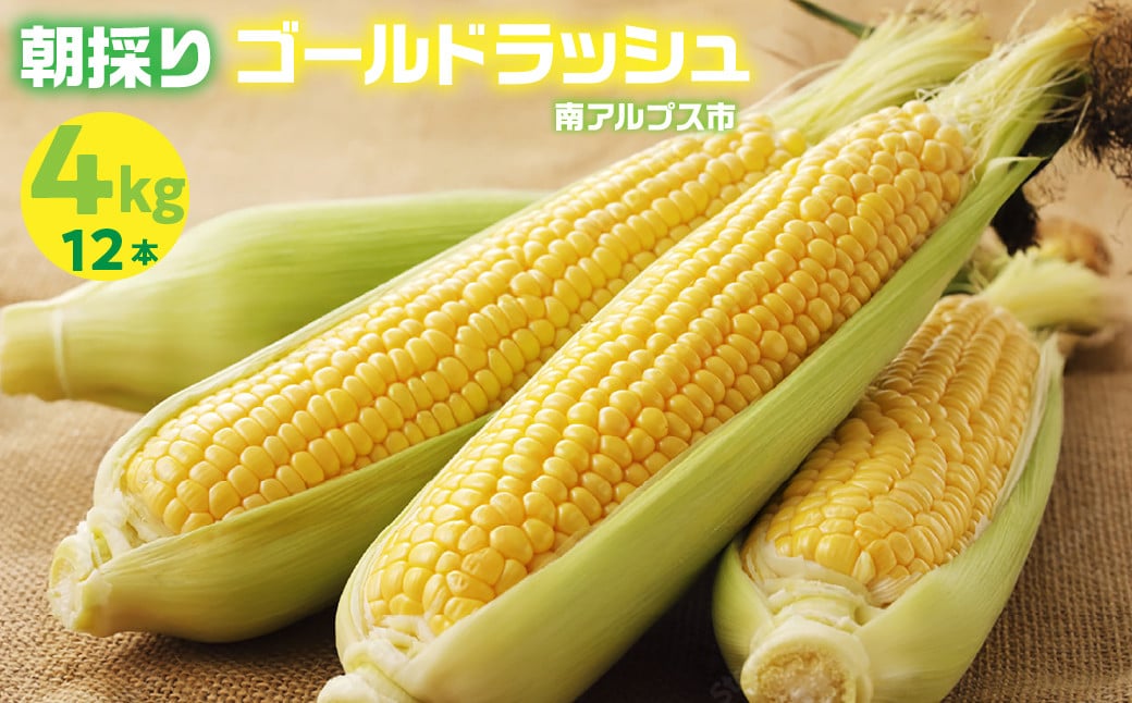 
                  ＜2026年発送先行予約＞山梨県産 とうもろこし（ゴールドラッシュ） ALPES001
                