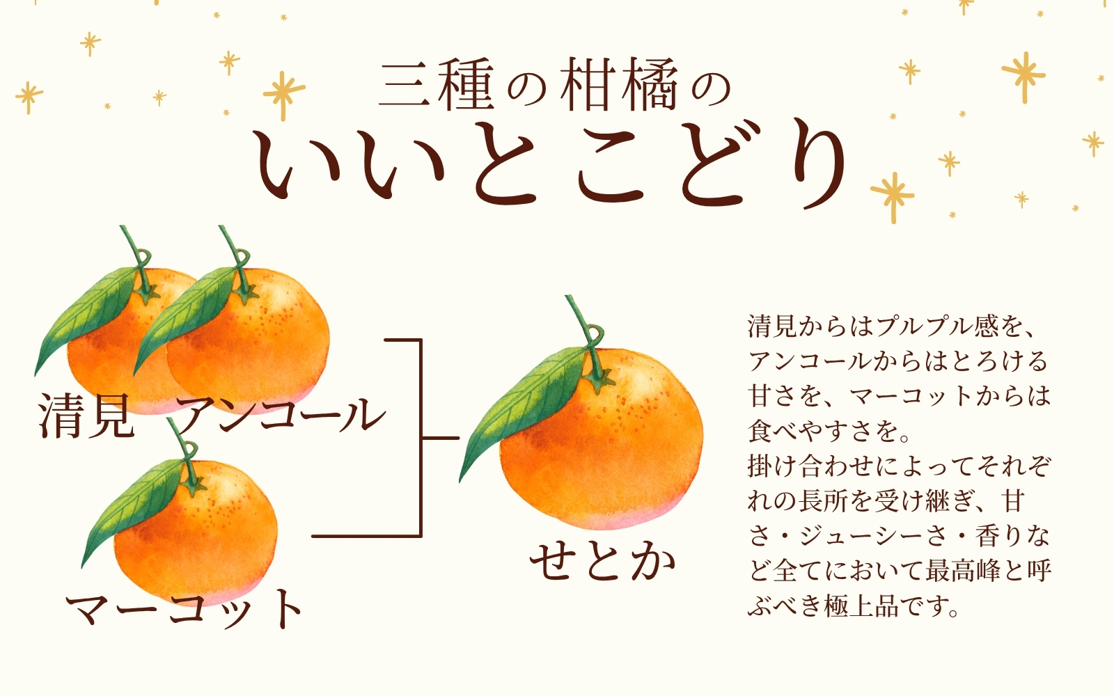 【柑橘の大トロ】せとか とろける食感 ジューシー柑橘 約2.5kg みかん 蜜柑 柑橘 オレンジ 果物 フルーツ 国産  ※2027年1月下旬頃～2027年2月上旬頃に順次発送予定【uot789A】
