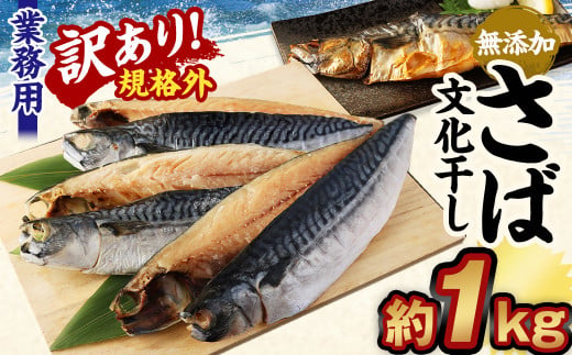 【訳あり規格外】 業務用 無添加 さば文化干し 1kg 鯖 さば 干物 魚