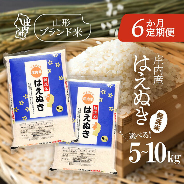 【ふるさと納税】＜毎月中旬発送＞庄内米6か月定期便！はえぬき無洗米 選べる配送開始月 内容量 5kg / 6kg / 10kg ブランド米 2025年産 無洗米 ふるさと納税 米 定期便 山形県