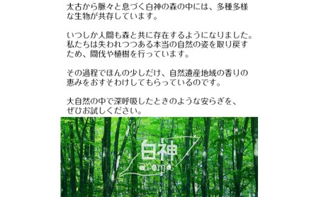 世界自然遺産白神山地から生まれたアロマ「青森ひば」精油 5ml ディフューザー付 アロマグッズ 