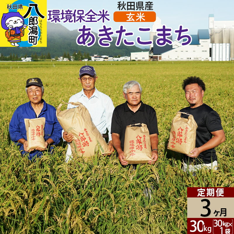 【ふるさと納税】【玄米】《定期便3ヶ月》令和7年産 秋田県産 あきたこまち 環境保全米 30kg (30kg×1袋)×3回 計90kg