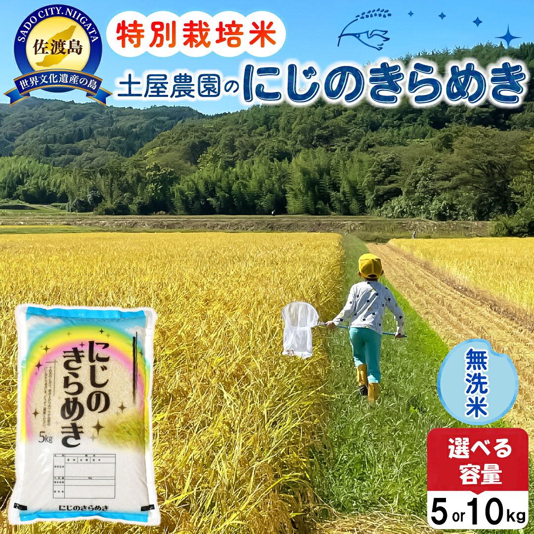【ふるさと納税】佐渡島産にじのきらめき 無洗米 選べる容量 5kg 10kg 令和7年 特別栽培米 農家直送