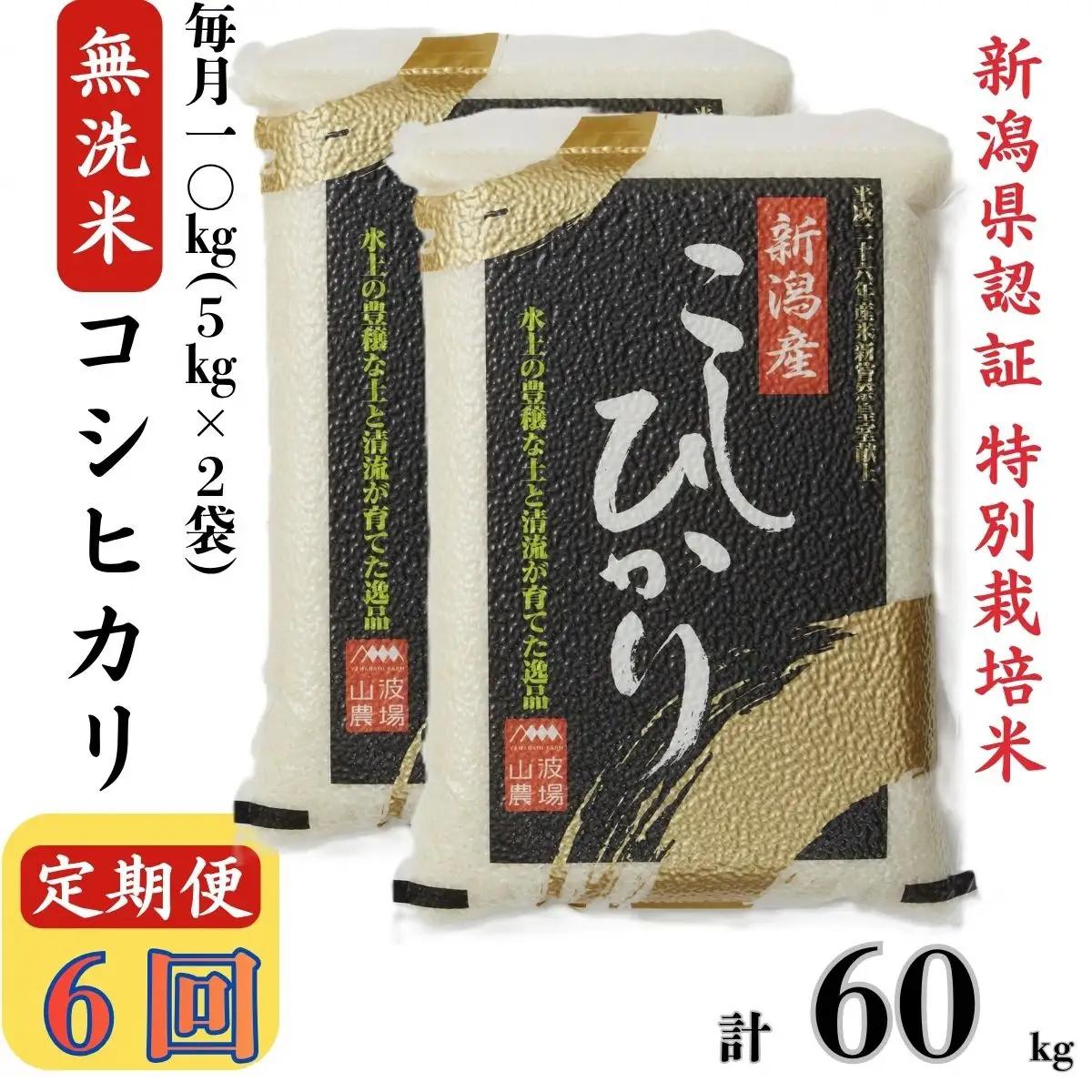 【令和8年産新米・6ヶ月定期便】真空パック 特別栽培米 コシヒカリ 無洗米 10kg（5kg×2袋）×6回（計 60kg） 山波農場 お米 新潟県産 [Y0044]
