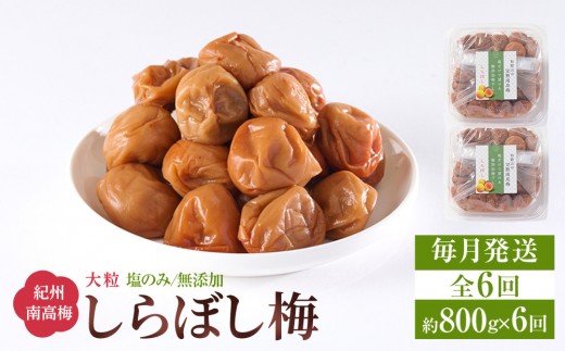 
            梅干し しらぼし梅  約800g（約400g×2） 塩のみ 無添加 大粒 紀州南高梅 塩分約15％ 和歌山県産 [ 定期便 毎月発送・全6回 ]
          