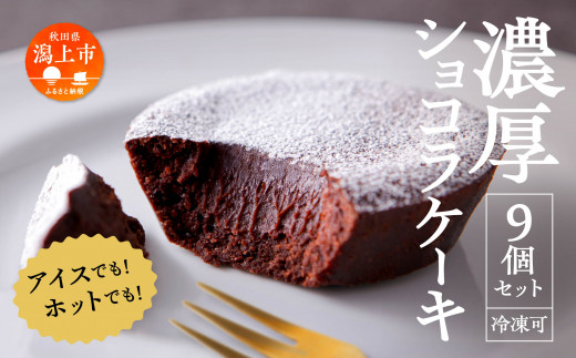 濃厚ショコラケーキ 9個セット