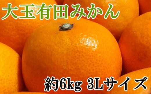 [秀品]和歌山有田みかん　6kg(3Lサイズ) ※2026年11月中旬～2027年1月中旬頃に順次発送【tec836A】