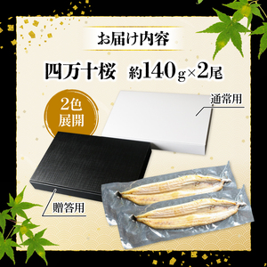 【贈答用】【12回定期便】極上国産うなぎ四万十桜 白焼き約140g×2尾 | 冷凍 蒲焼 うなぎ 四万十 うなぎ 高知県産 うなぎ 厳選 うなぎ うなぎ 鰻