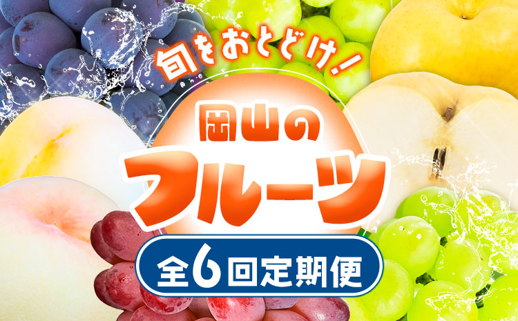 【2025年先行予約】 定期便6回コース 岡山のフルーツ 清水白桃 6玉 岡山の白桃 6玉 ニューピオーネ 1房 瀬戸ジャイアンツ 1房 シャインマスカット 晴王 2房 紫苑 1房 あたご梨 4~5玉 株式会社山博(中本青果) 《2025年7月上旬-12月下旬頃出荷》岡山県 浅口市---124_c257tei_23_175000_jul6---