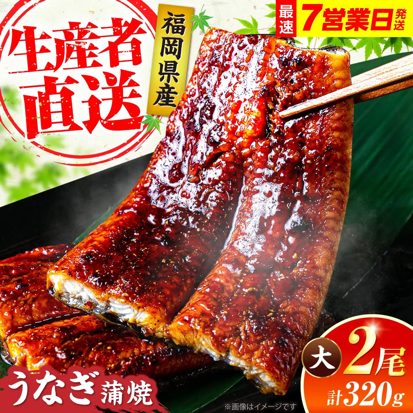 鰻 蒲焼大2尾 計320g 鰻 VAD002