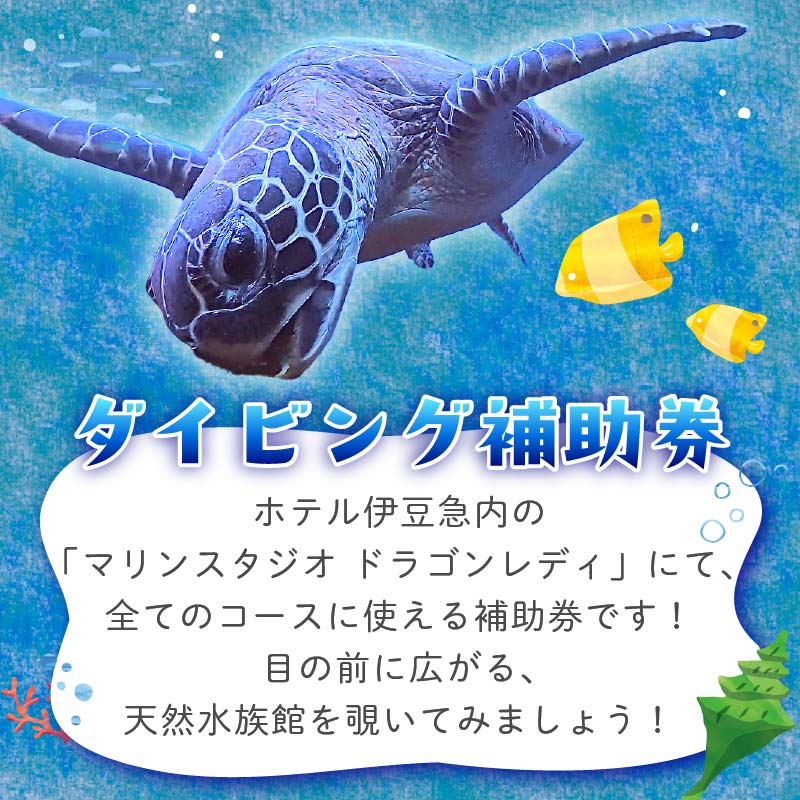 ダイビング 補助券 10,000円分 優待券 下田 体験 海 アウトドア スポーツ アクティビティ マリンスポーツ レジャー 旅行 観光 夏休み お盆 GW 冬休み 春休み 初心者 中級者 上級者 コ