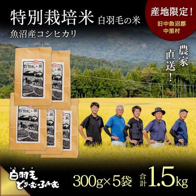 ふるさと納税 十日町市 令和7年産　農家直送!魚沼産コシヒカリ特別栽培「白羽毛の米」精米(300g×5袋)1.5kg