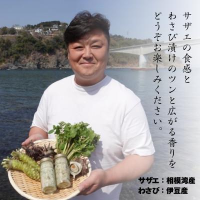 ふるさと納税 真鶴町 サザエのわさび漬け　【素潜り漁師の手作り】 |  | 01