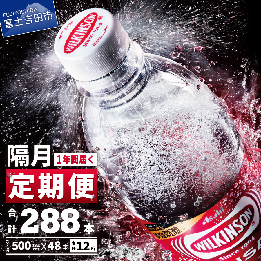 【年6回・隔月お届け！】炭酸水 ウィルキンソン　タンサン　PET500ml×2箱（48本入）定期便