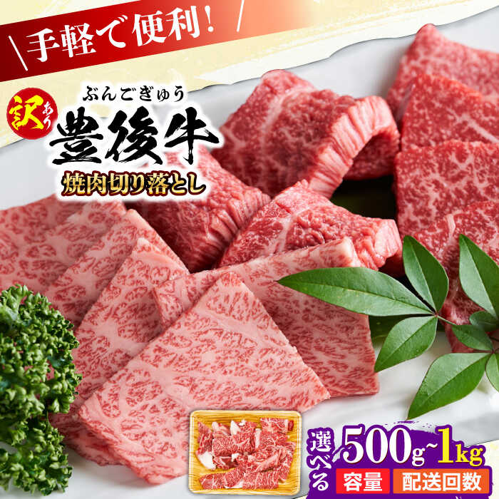 【ふるさと納税】【選べる容量・回数】訳あり！おおいた豊後牛 焼肉 切り落とし 500g/1kg お肉 牛肉 大分 おおいた 豊後牛 黒毛和牛 国産 ディナー 冷凍 和牛 霜降り 小分け 焼肉 焼肉用 日田市 / 株式会社MEAT PLUS[AREI032,033,AREI131-136]
