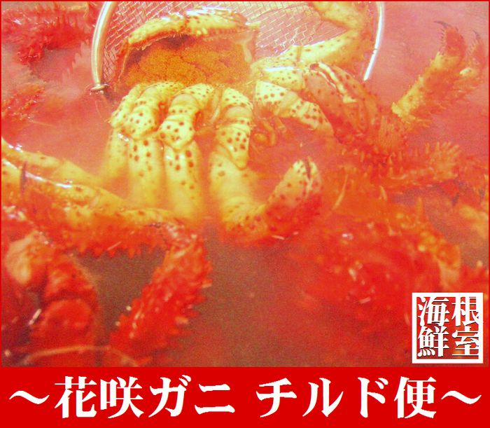 【ふるさと納税】 [北海道根室産] 花咲ガニ 3 〜 5 尾 ( チルド便 ) 花咲がに 花咲 花咲かに 花咲蟹 かに カニ 蟹 お取り寄せ グルメ 海鮮 ボイル 茹で蟹 茹でがに 茹でガニ 浜茹で 北海道 根室市 ふるさと納税 A-57026