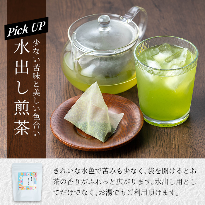 B-111 鹿児島県産霧島茶飲み比べバラエティセット(Bセット・合計10種)【末重製茶】霧島市 日本茶 お茶 霧島茶 ティーバッグ お手軽 緑茶 茶葉 水出し茶 煎茶 特上茶 特選煎茶 銘茶 詰め合わ