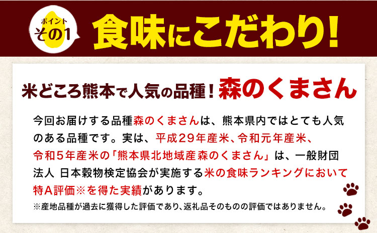 【12ヶ月定期便】令和6年産 白米 無洗米 森のくまさん 5kg 10kg 15kg 20kg《お申込み月の翌月から出荷開始》 熊本県産 白米 精米 米 こめ コメ お米 kome_イメージ3