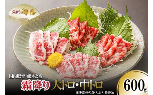 【桜屋】熊本肥育 熊本と畜 新鮮 馬刺し 阿蘇 熊本 赤身 霜降り 希少部位 小分け 馬肉 600g 各300g 専用醤油 150ml 1本付 タレ 真空パック 老舗専門店 馬刺しの桜屋 ギフト 贈り物 贈答用 記念日 冷凍