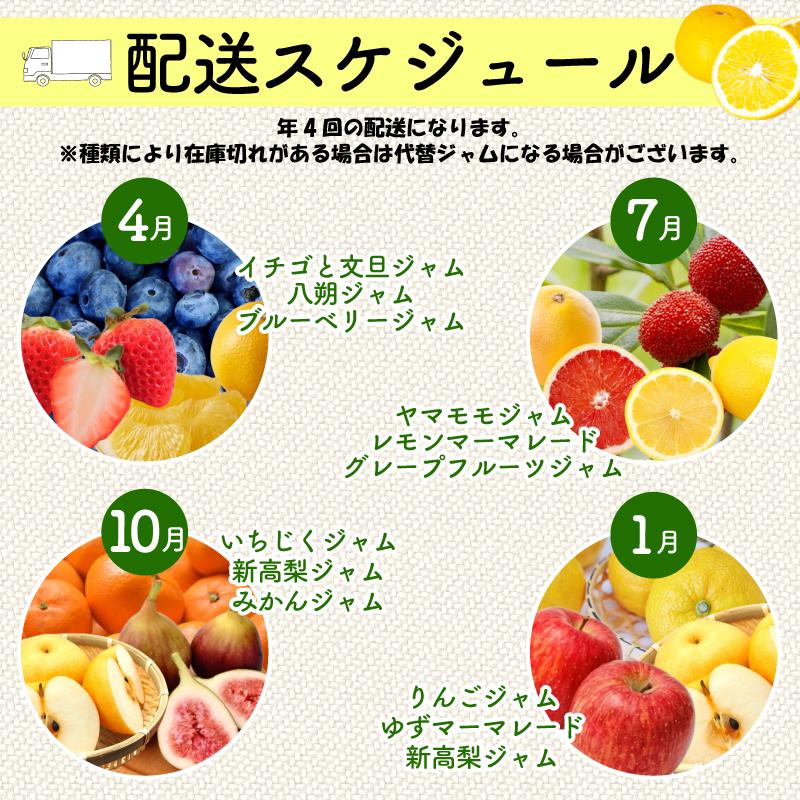 【10月発送】季節の果実ジャム 3種（各100g） パック セット ジャム じゃむ 季節の果実 果物 詰め合わせ フルーツジャム 国産 6000円 6千円 高知県 須崎市 TJ0071