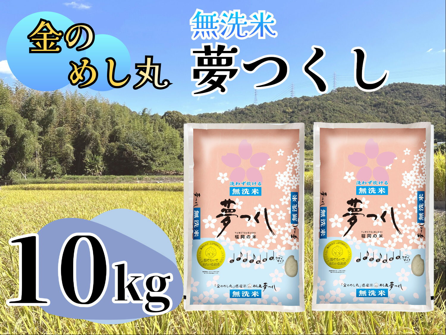 【ふるさと納税】令和7年米【無洗米】金のめし丸夢つくし　10kg（5kg×2袋）_CE-064