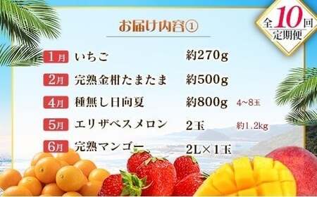【10回定期便】旬 人気 フルーツ 南国宮崎産 マンゴー 金柑たまたま シャインマスカット ピオーネ いちご みかん 日向夏 メロン 柑橘 きんかん ぶどう 果物 詰め合わせ 宮崎県 九州＜E-3コー