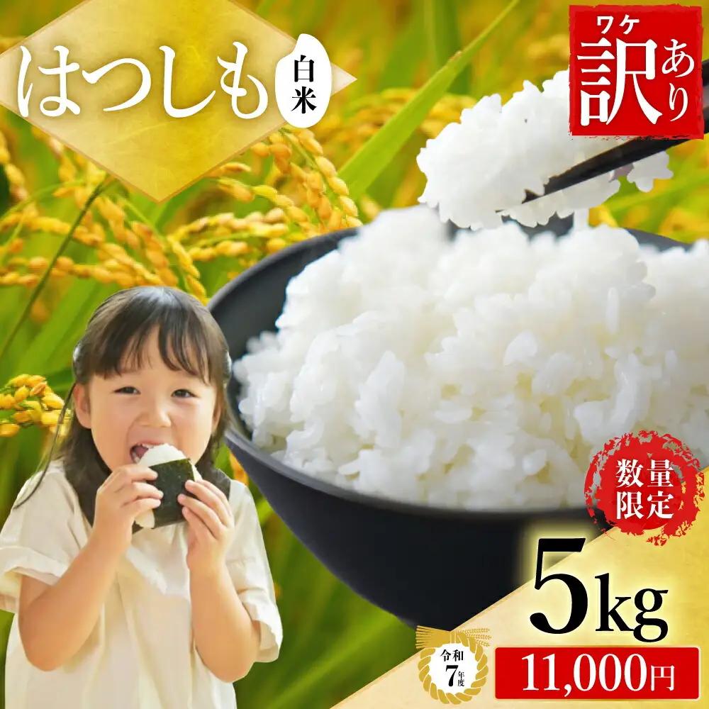 R8年産 ハツシモ米 【白米】5kg【【10営業日以内発送】
