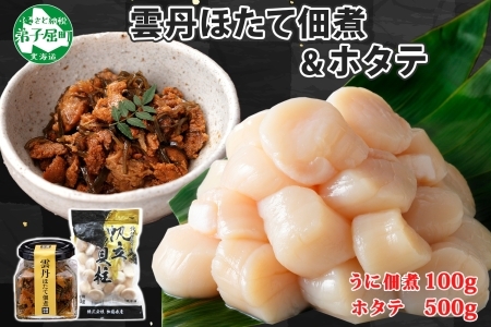 3549. 雲丹と帆立佃煮100g＆ホタテ500g 小分け 雲丹 ウニ うに 帆立 ホタテ ほたて 佃煮 つくだ煮 瓶詰 ご飯のお供 おつまみ 海鮮 送料無料 北海道 弟子屈町