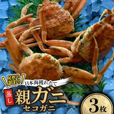 ふるさと納税 智頭町 【先行予約】【蒸し】訳あり足折れ日本海産親ガニ(セコガニ)　3枚　※11月中旬から順次発送