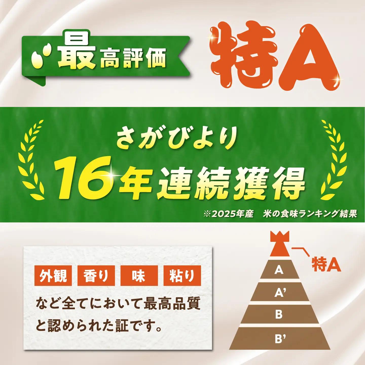 無洗米 さがびより 5kg（5kg×1袋） 無洗米 お米 白米 精米 佐賀県産 米 /大塚米穀店[UFE001]