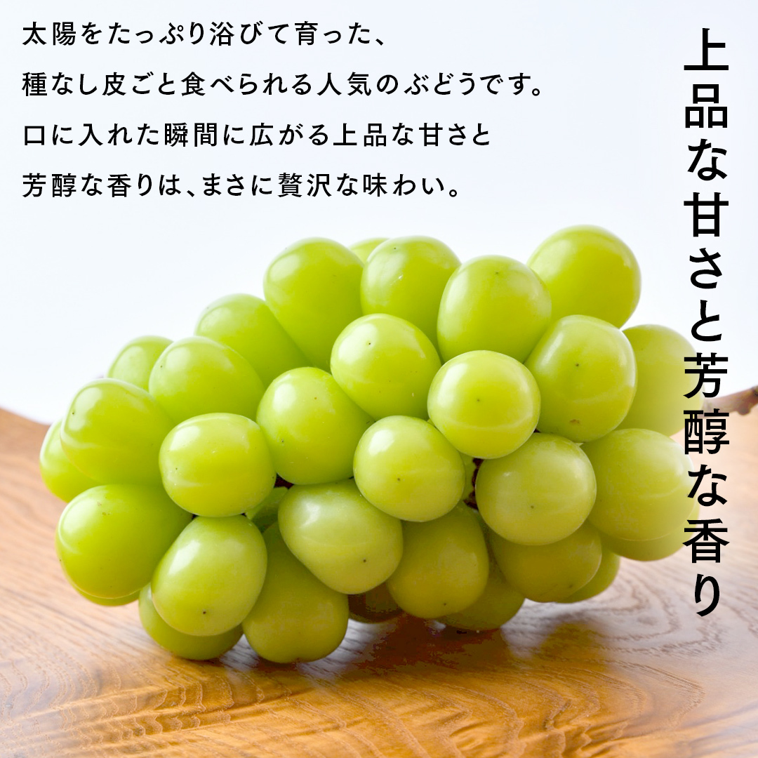 シャインマスカット 5kg （8～12房）【2025年9月より発送開始】（茨城県共通返礼品 [ぶどう]：結城市産） 葡萄 マスカット 旬 お取り寄せ フルーツ 種なし 皮ごと 甘い デザート [FC0