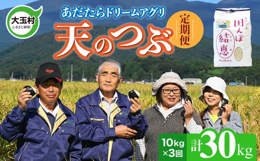 【 令和7年産 】【 おいしいお米コンクール 受賞米 あだたらドリームアグリ（株）】 天のつぶ 30kg ( 毎月10kg × 3回) 福島県 大玉村 てんのつぶ テンノツブ  定期便