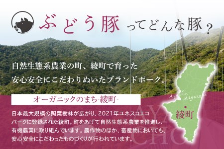 国産 豚肉 ブランド 豚 綾ぶどう豚 詰め合わせ よくばり セット 2.7kg 小分け 調理 バラエティー とんかつ 生姜焼き 焼肉 ミンチ 日時 指定 可能（22-35）