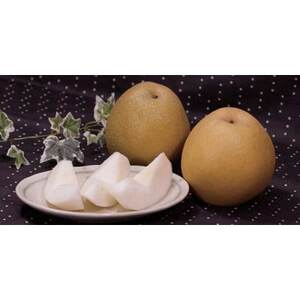 【先行予約】プレミアム王秋梨 約5kg【配送不可地域：離島・北海道・沖縄県】【1532297】