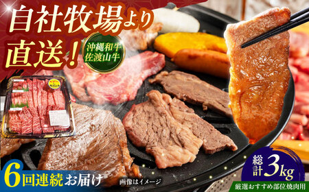 牛肉 焼肉 【全6回定期便】【厳選！おすすめ部位】沖縄和牛 佐渡山牛 焼肉用 500g  BCBC012 牛肉