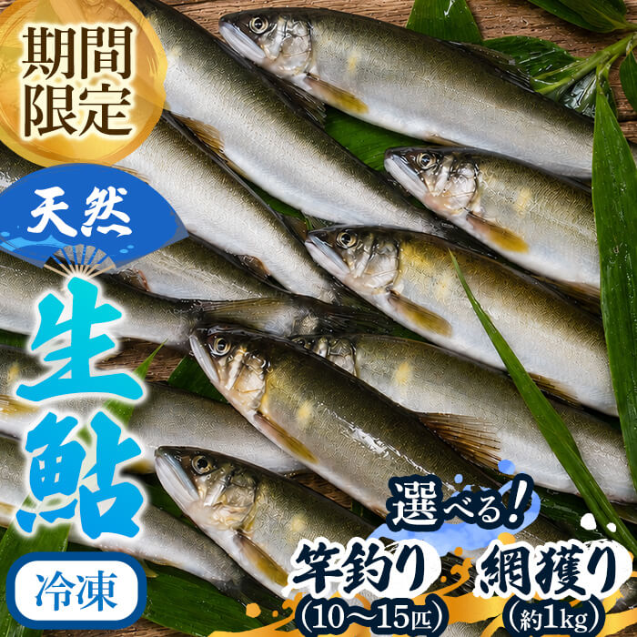【ふるさと納税】＜選べる漁法＞「冷凍」由良川の天然生鮎(竿釣り10～15匹/網獲り約1kg) 鮎 あゆ 天然鮎 天然あゆ 生鮎 アユ 川魚 塩焼き 由良川 京都 福知山 冷凍 産地直送 期間限定 数量限定 【fc-ZF007】【由良川漁業協同組合】