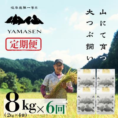 ふるさと納税 下呂市 新米先行受付【令和7年産】【定期便】山仙(いのちの壱)2kg×4袋×6回 すがたらいす【51-V】