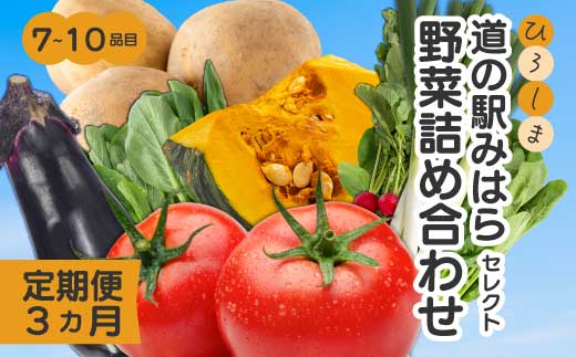 【3か月定期便】道の駅セレクト 旬野菜つめあわせ やさい 野菜 詰め合わせ 7～10品目 新鮮 国産 健康 ヘルシー サラダ 鍋 季節 043041