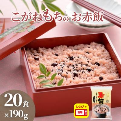 ふるさと納税 小千谷市 新潟県産こがねもち赤飯190g×20個　国産ささげ使用ごま塩付き米