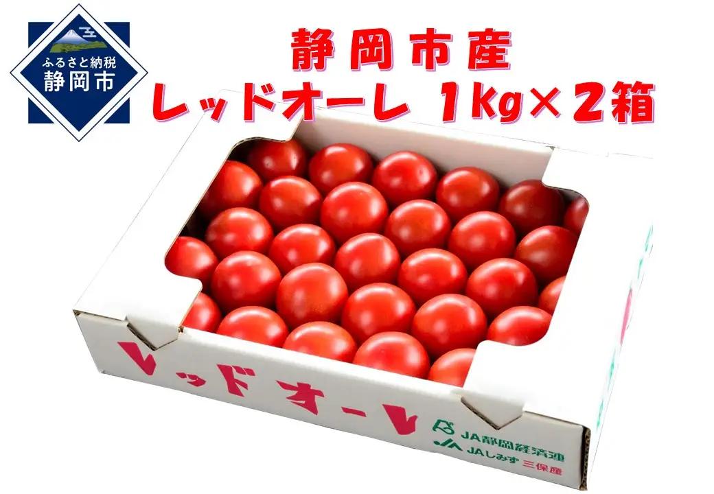 【2026年12月より順次発送】完熟中玉トマト レッドオーレ2箱【配送不可：北海道・沖縄・離島】◆