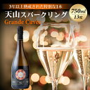 【ふるさと納税】 天山 sparkling Grande Cuvee グラン キュベ 750ml 天山酒造 日本酒 スパークリング 送料無料 日本酒 飲み比べ 地酒 蔵元直送 お酒 アルコール お祝い 人気 ランキング 高評価 【D400-009】