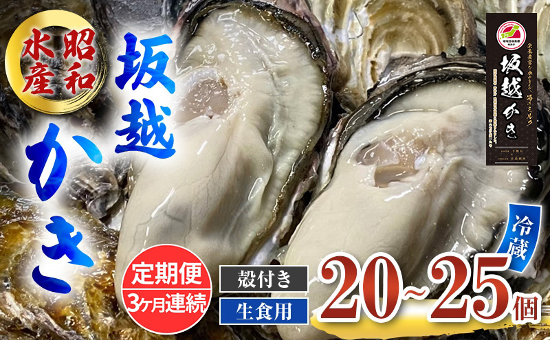 定期便 牡蠣 生食用 坂越かき 殻付き 20～25個《3ヶ月連続お届け》 昭和水産 [ 生牡蠣 真牡蠣 かき カキ 冬牡蠣 ]