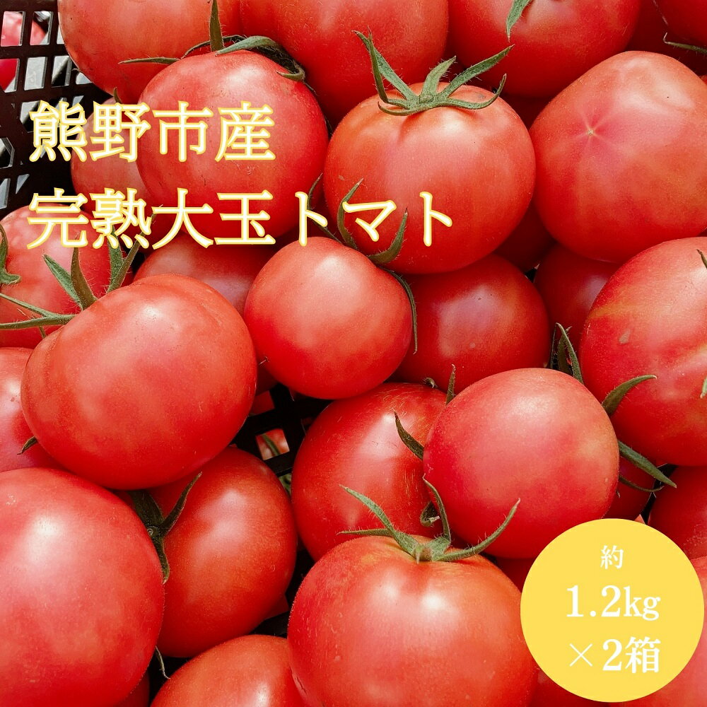 【ふるさと納税】【2025年12月以降配送】熊野薬草園の 大玉トマト（1.2kg×2箱） トマト 大きい 完熟トマト 野菜 甘い 甘酸っぱい 冬限定 果肉が厚い 熊野市