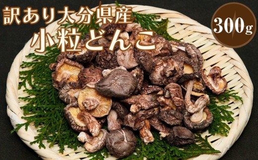 乾燥椎茸 国産 訳あり 小粒どんこ 300g | 乾しいたけ 干し椎茸 乾し椎茸 しいたけ 乾燥しいたけ 干しシイタケ 干ししいたけ  原木 大分県産 九州野菜 産地直送 九州産 大分県 中津市