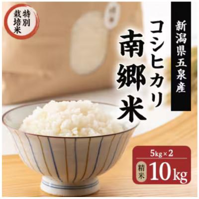 ふるさと納税 五泉市 【毎月定期便】特別栽培米コシヒカリ100%「南郷米」精米 10kg(5kg×2袋)全3回