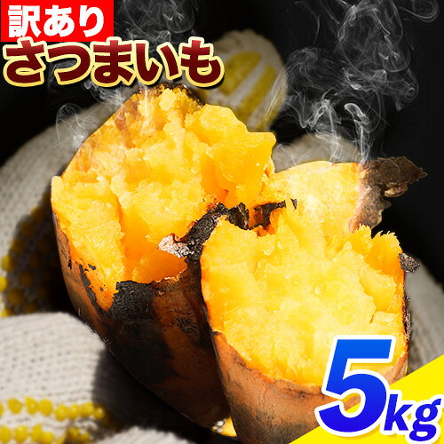 【ふるさと納税】和歌山県 の さつまいも 訳あり ご家庭用 約 5kg 在来種《12月中旬‐5月上旬頃より出荷》和歌山県 日高川町 みはらファーム さつま芋 薩摩芋 わけあり さつまいも いも さつま芋 サツマイモ 訳ありさつまいも 訳ありいも 家庭用