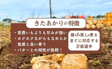 ＜先行予約＞じゃがいも きたあかり 5kg | じゃがいも じゃがいも じゃがいも じゃがいも じゃがいも