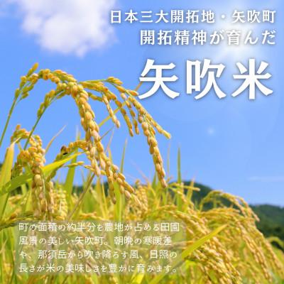 ふるさと納税 矢吹町 令和7年産〈無洗米〉　福島県矢吹町の美味しいこしひかり10kg(5kg×2) |  | 02