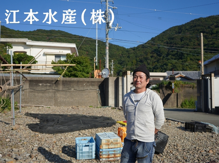 漁師たつ兄のうつぼチップス３袋