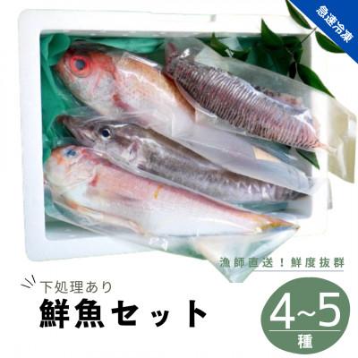 ふるさと納税 海陽町 【4〜5種】勝浦渡船の季節のお魚詰合せセット　《冷凍鮮魚セット》